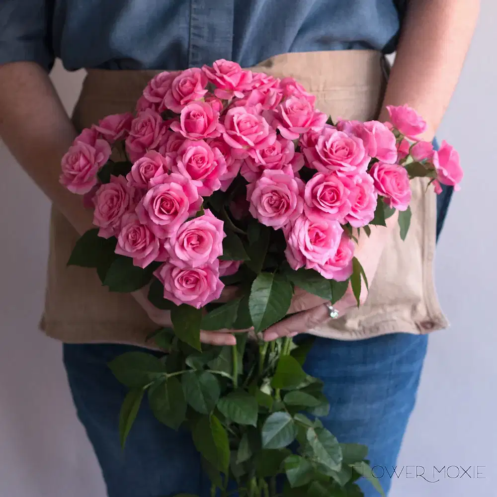 Medium Pink Spray Rose Flower