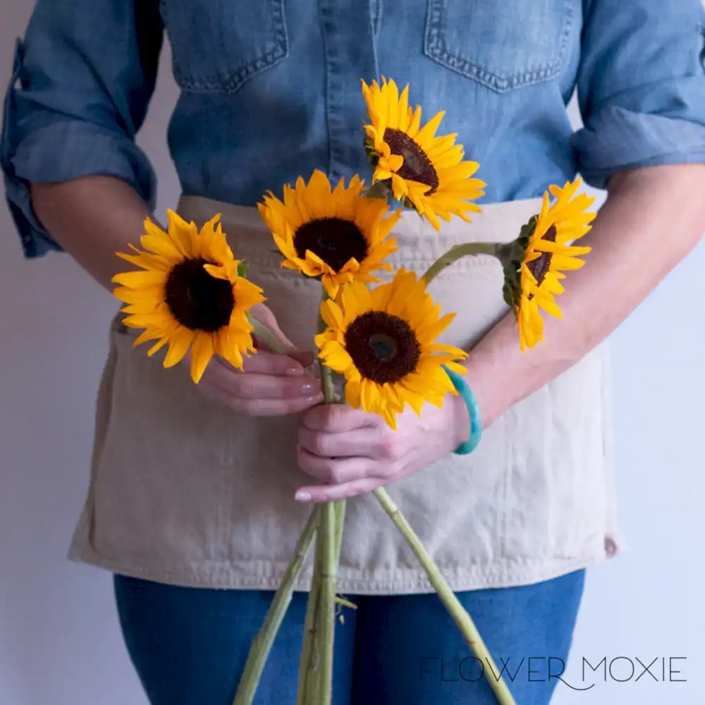 Yellow Sunflower