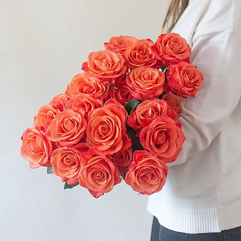 Orange Crush Roses