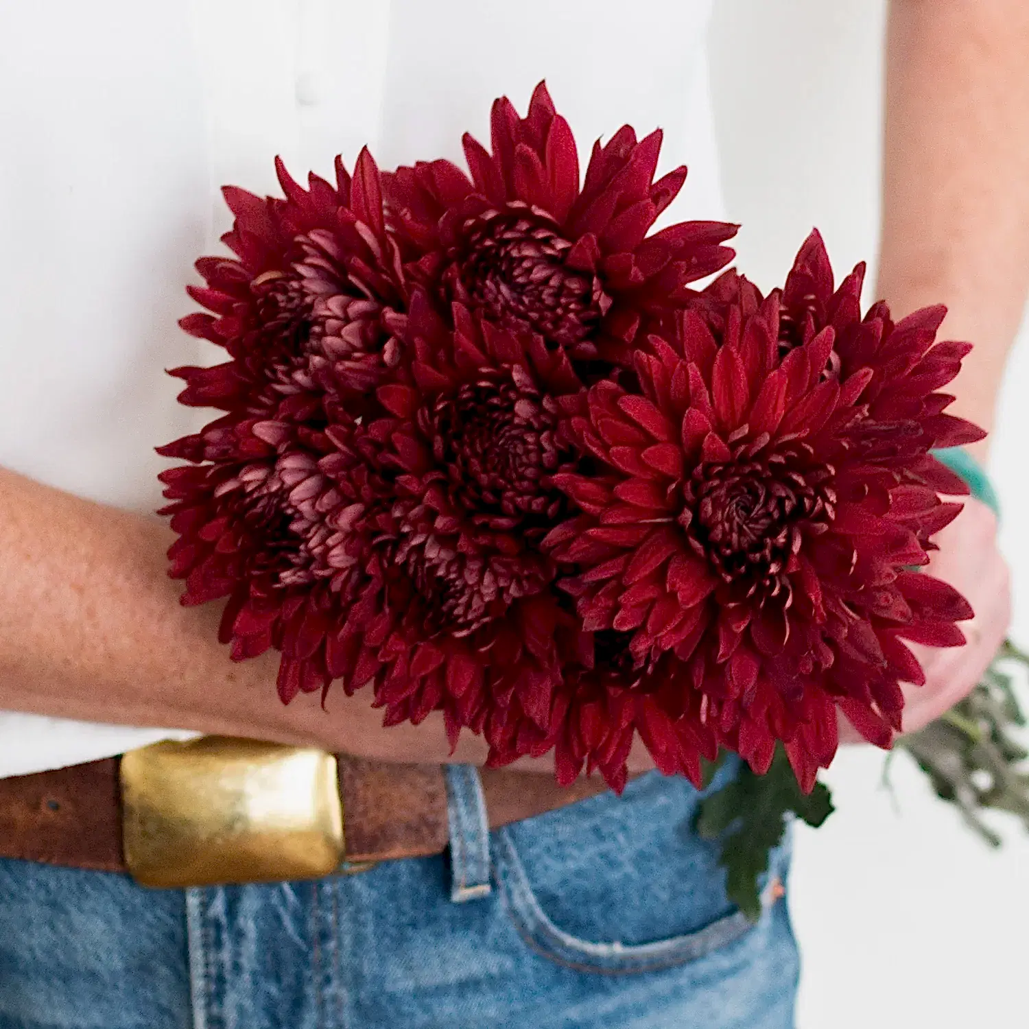 Red Burgundy Cremone Flower