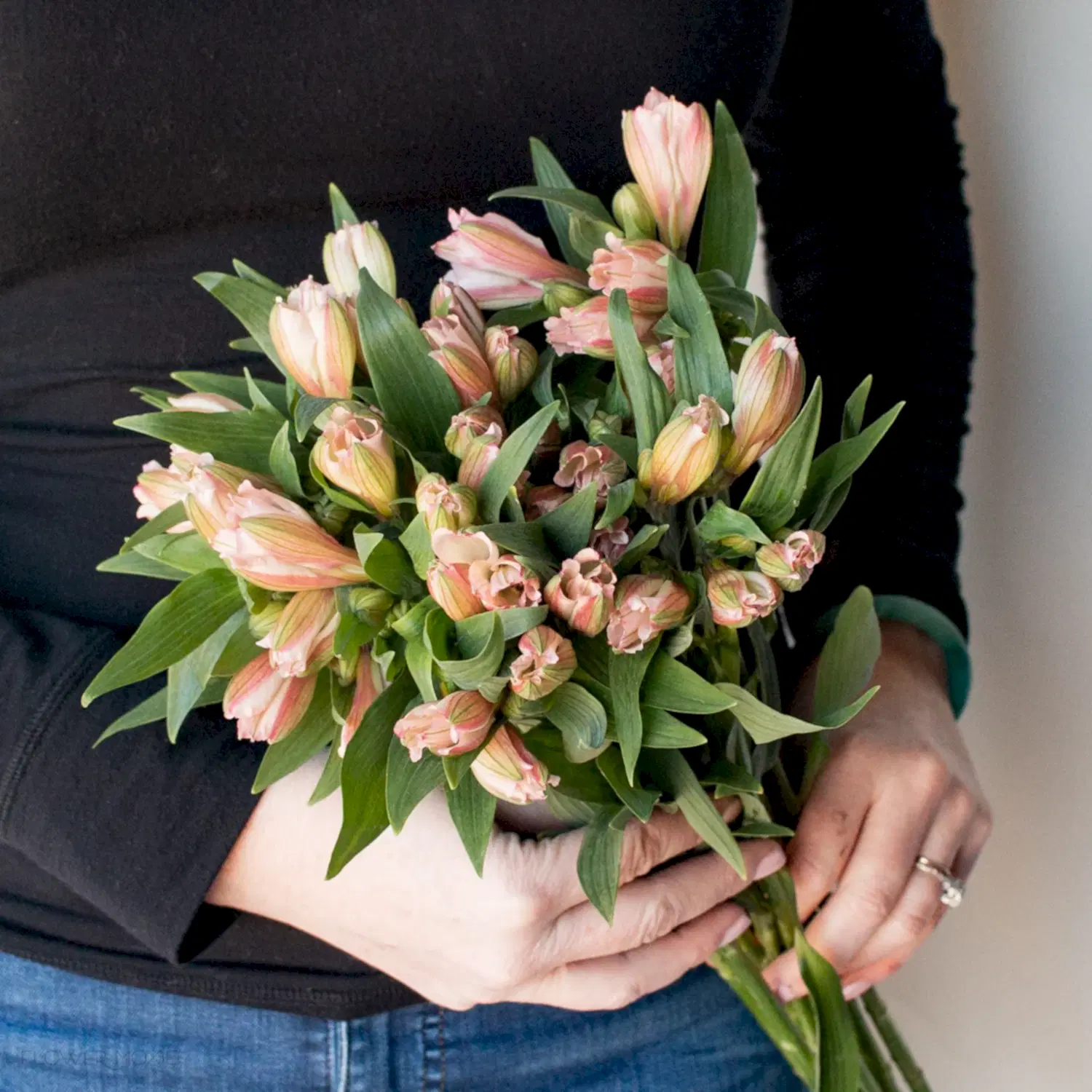 Pink Alstroemeria Flowers