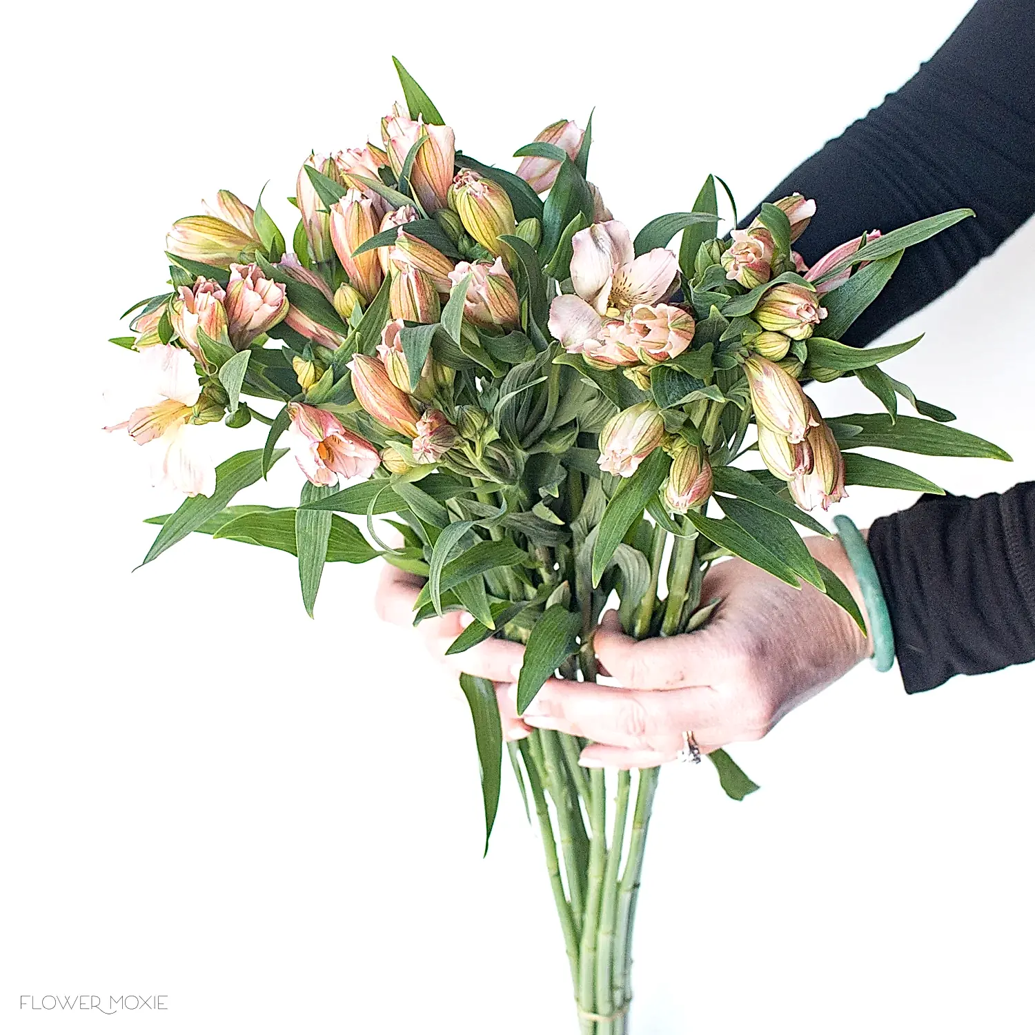 Pink Alstroemeria Flowers