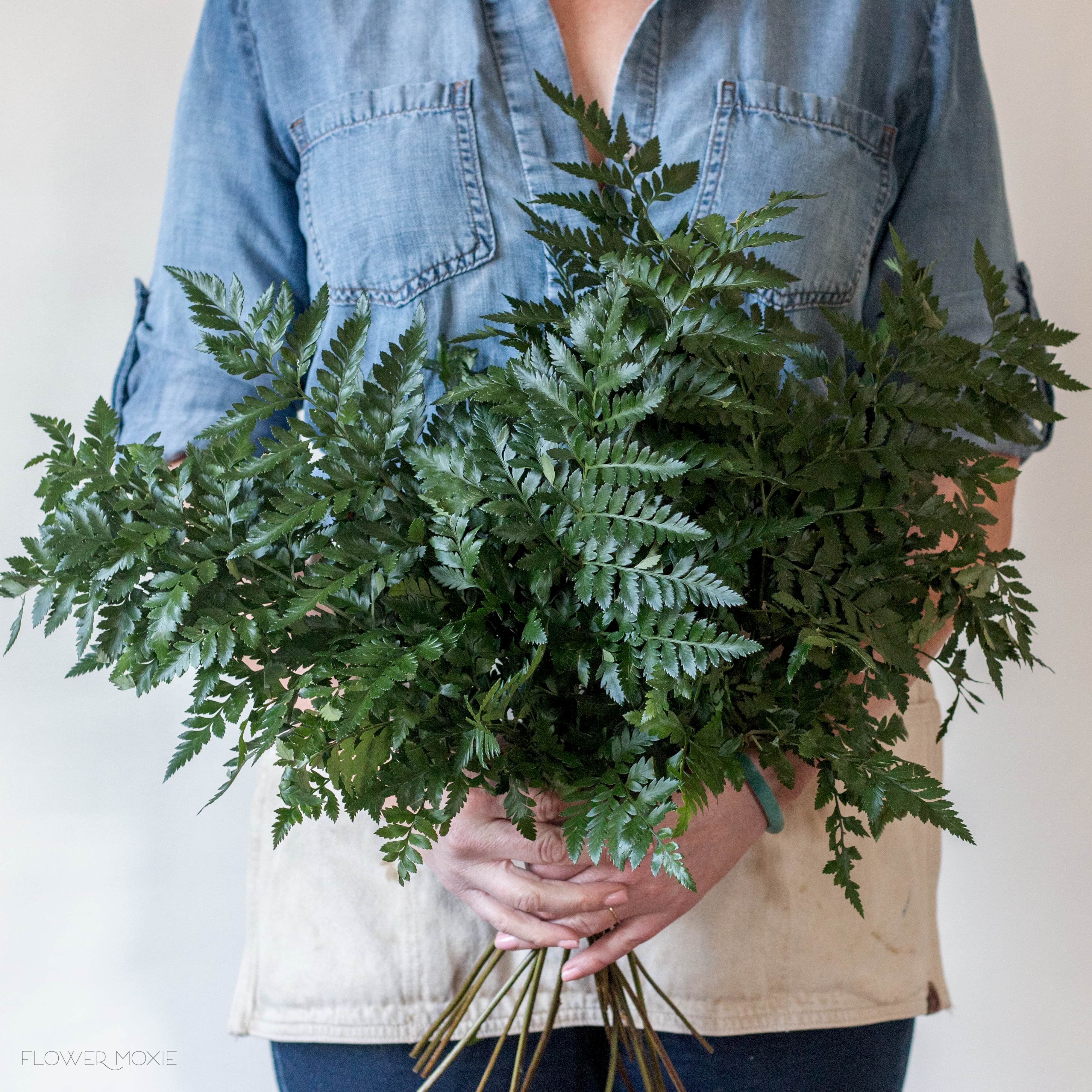 leatherleaf fern greenery