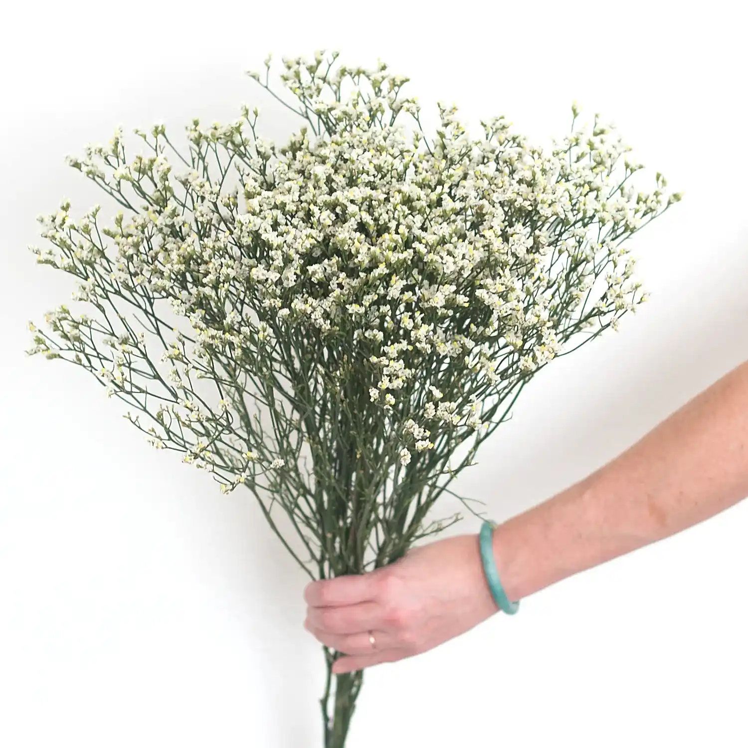 White Limonium Flower