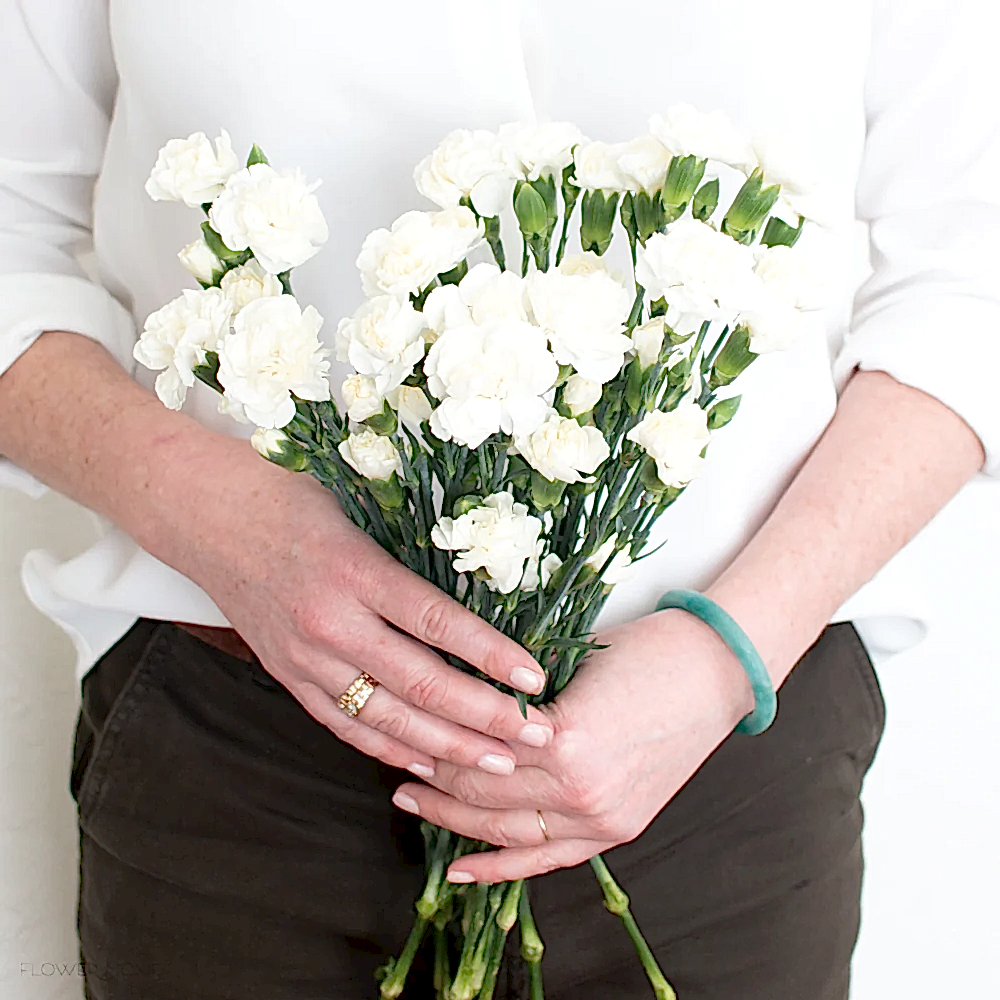 white mini carnations