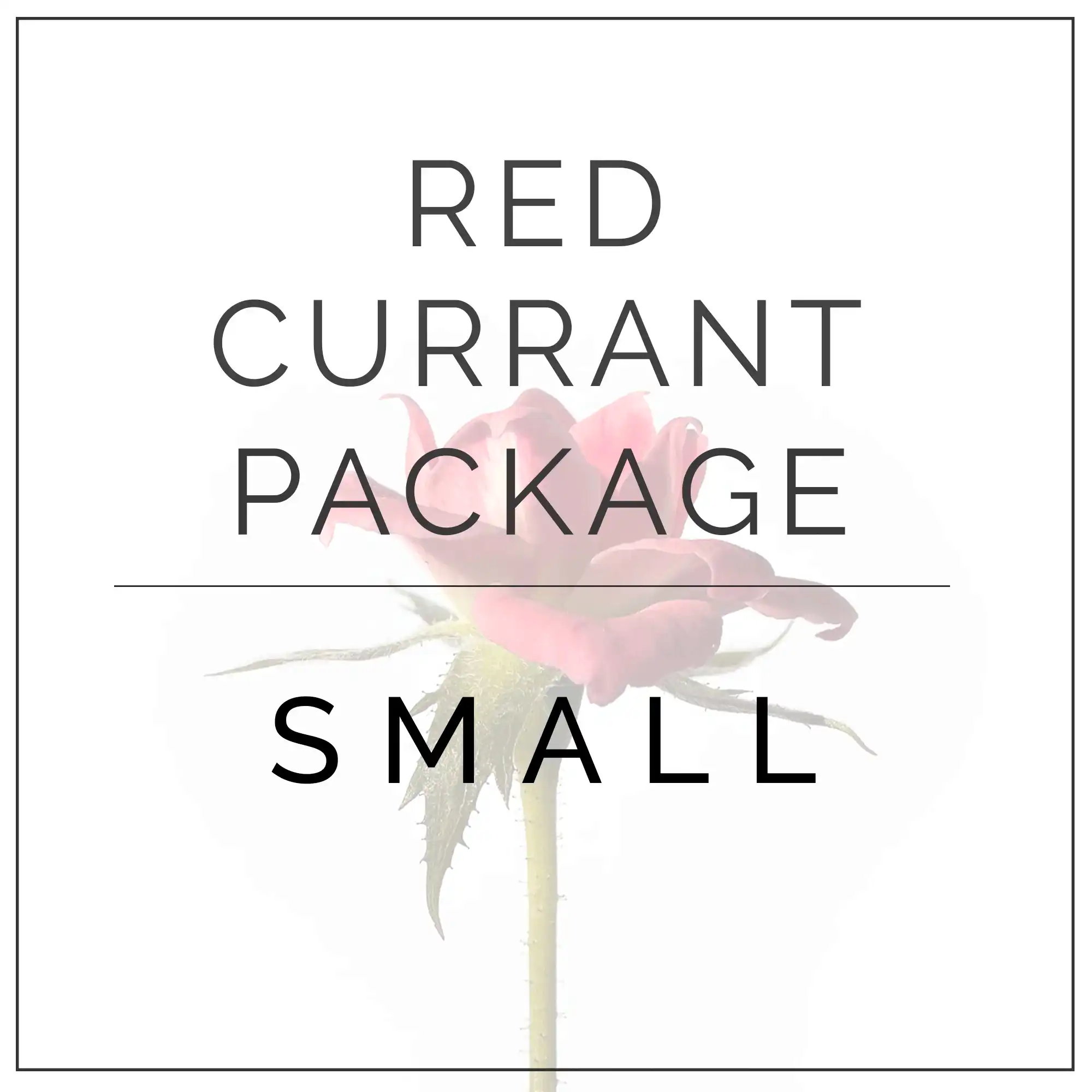 small red currant package