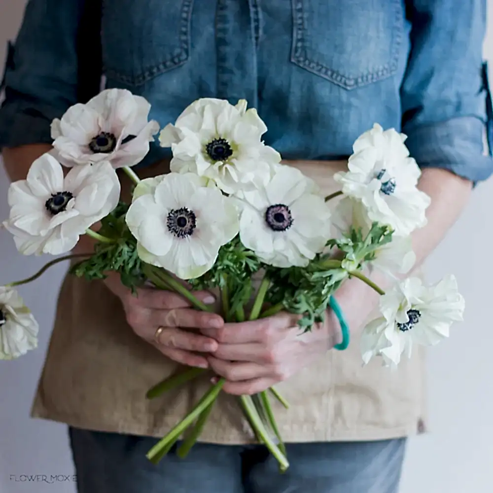 white anemone flowers bunch