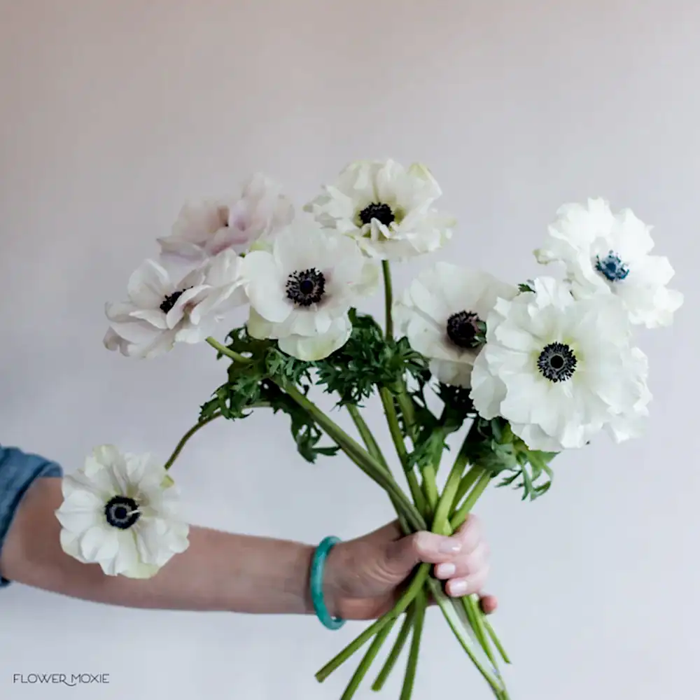 Bunch of white anemone flowers