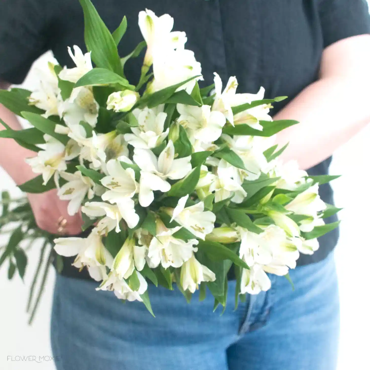 white alstroemeria flower