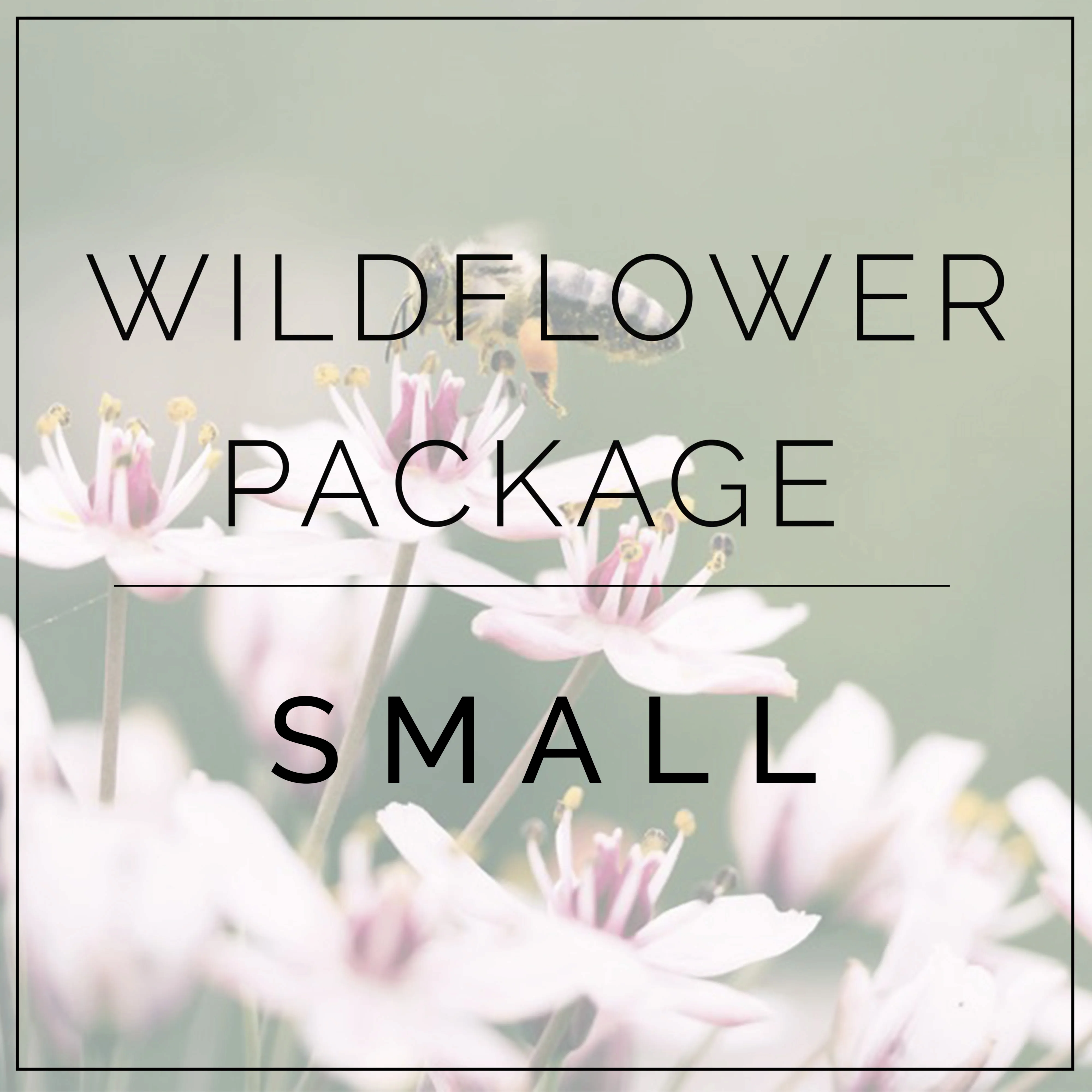 wildflower package